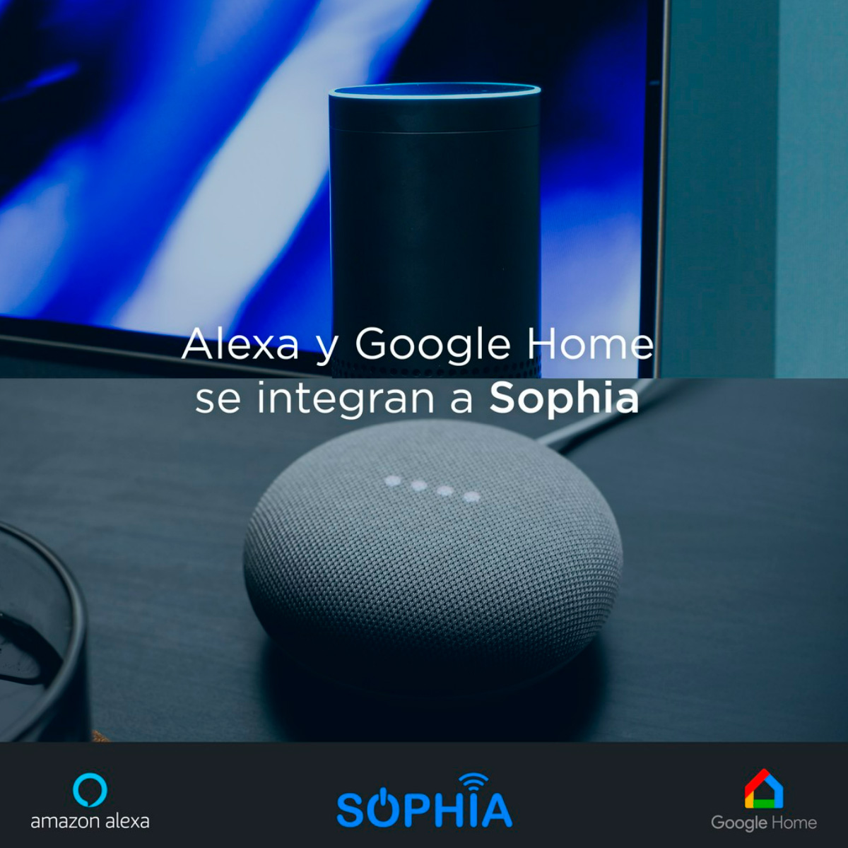 Audio Multiroom Sophia Intelligence - Imagen 4